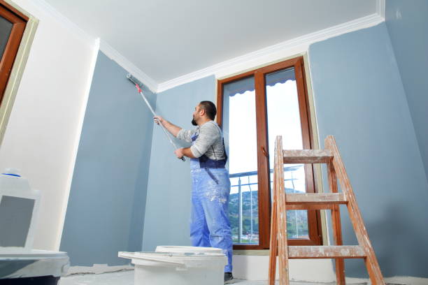  Lapel, IN Mold Removal Pros