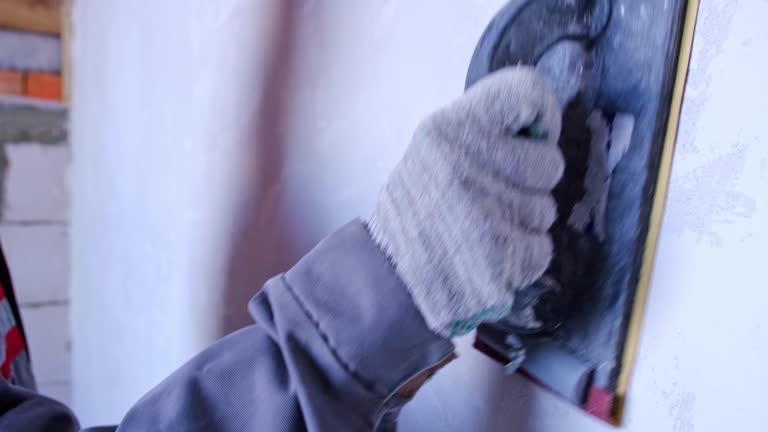 Best Black Mold Removal  in Lapel, IN