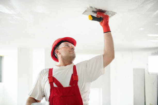 Best Real Estate Mold Inspection  in Lapel, IN