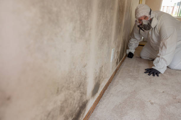 Best Residential Mold Inspection & Testing  in Lapel, IN