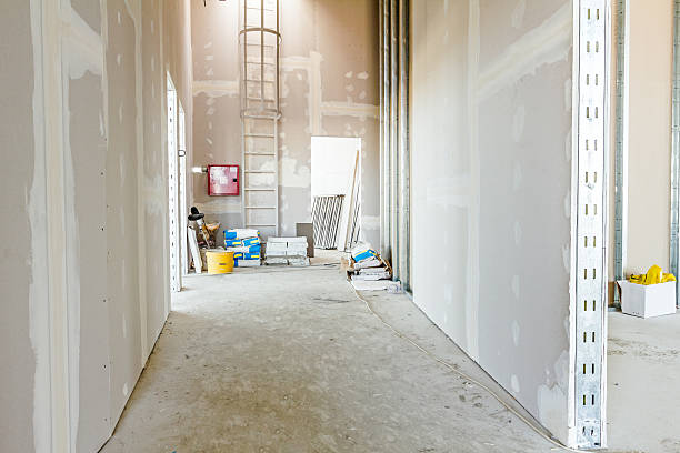 Best Commercial Mold Inspection  in Lapel, IN