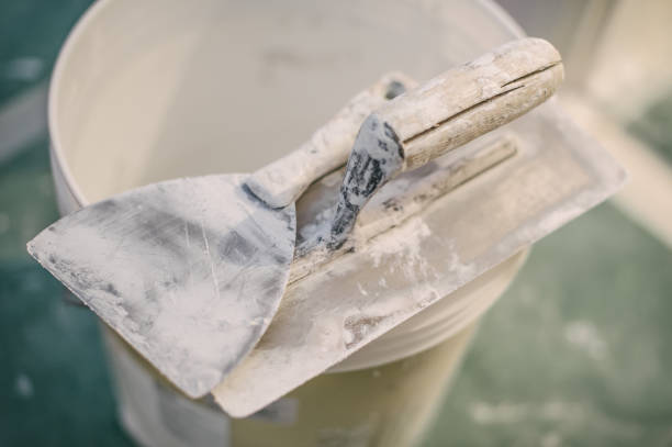 Best Dehumidification Services  in Lapel, IN